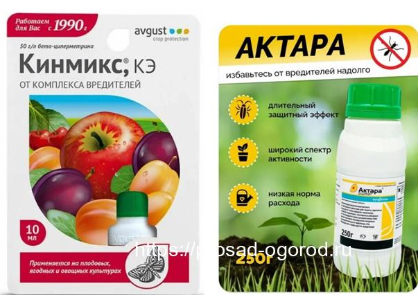 Препараты против тли