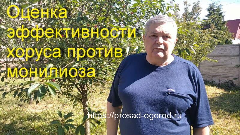 Оценка эффективности применения препарата Хорус против монилиального ожога Оценка эффективности применения препарата Хорус против монилиального ожога