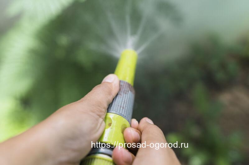 Скоро весна, не забудьте про голубое опрыскивание вашего сада Скоро весна, не забудьте про голубое опрыскивание вашего сада