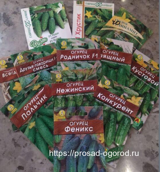 Хороший урожай огурцов – это просто. Все тонкости высадки и ухода Хороший урожай огурцов – это просто. Все тонкости высадки и ухода