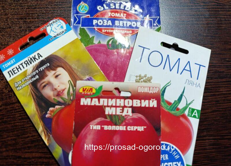 Помидоры без полива, как вырастить их, и возможно ли это? Помидоры без полива, как вырастить их, и возможно ли это?