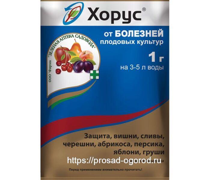 Клястероспориоз косточковых, профилактика заражений и меры борьбы